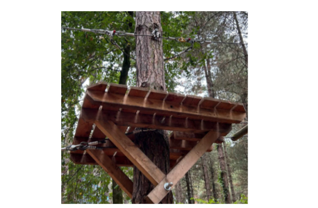 Système de fixation aux arbres